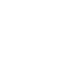 AFA Logo